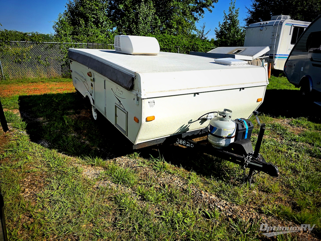 2008 Palomino Yearling